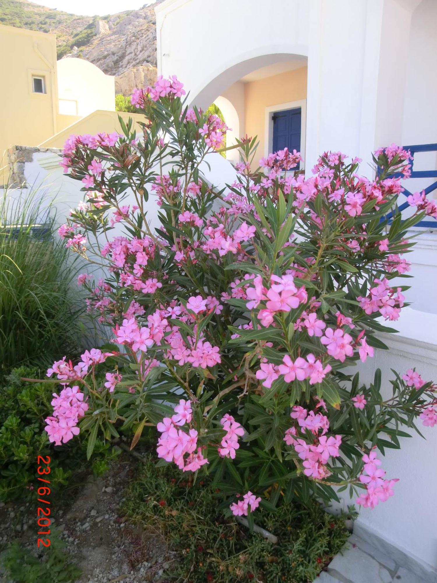 Aegean View Hotel Kamári Esterno foto