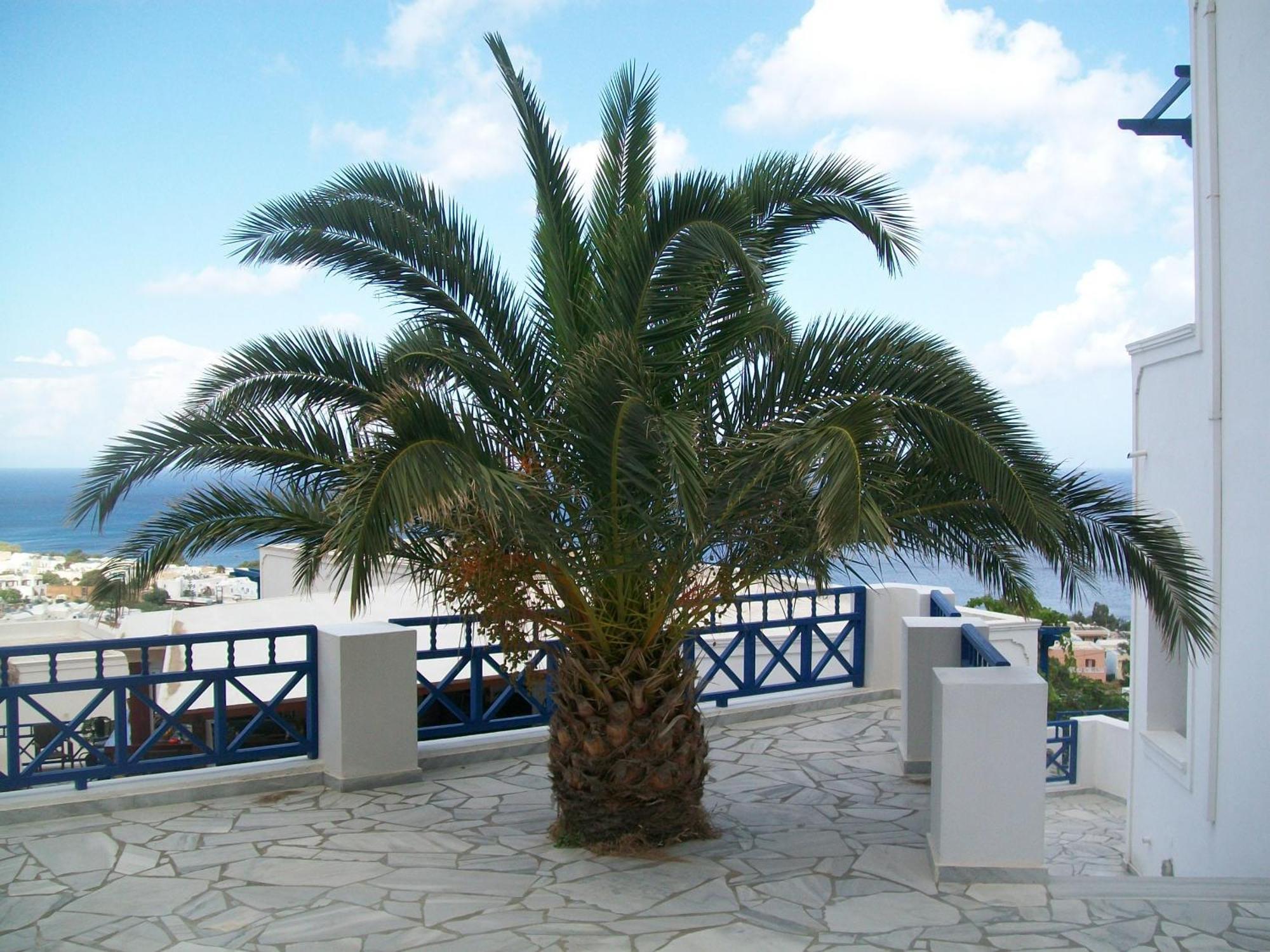Aegean View Hotel Kamári Esterno foto